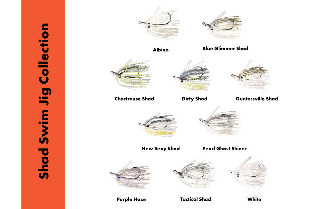 Shad Swim Jig Collection